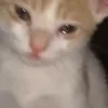 🥲