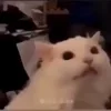 🤬