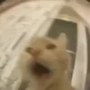 🥴