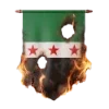 🇸🇾