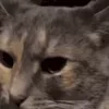 😐