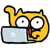 💻