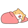 😴