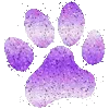 🐾