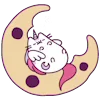 🌙