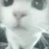 🤩