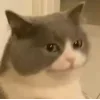😐