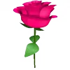 🌹