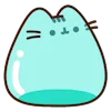 🐱