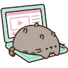 💻