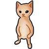 🐈