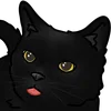 🐈‍⬛