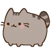 🐈
