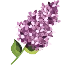 💐