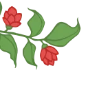 💐