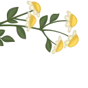 💐