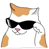 😎