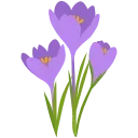 💐