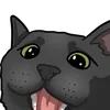 🐈‍⬛