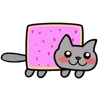 🐈