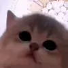 🕺