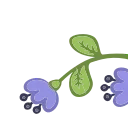 💐