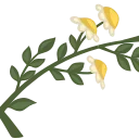 💐