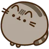 🐈