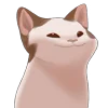 🐱