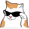 😎