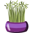 💐