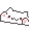 🐱