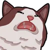 🐱