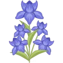 💐