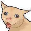 🤪