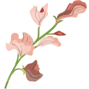 💐