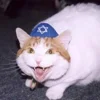 🇮🇱