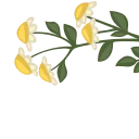 💐