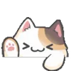 🐱