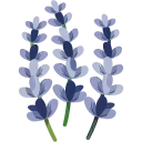 💐