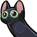 🐈‍⬛