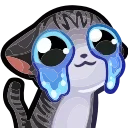 😭