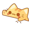 🐱