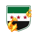 🇸🇾