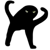 🐈‍⬛