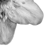 ⭐