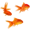 🐠