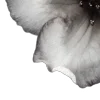 ⭐