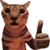 👍