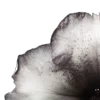 ⭐